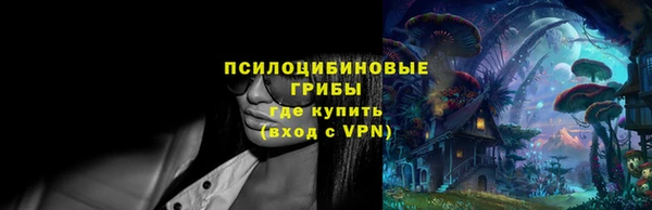дживик Алексеевка