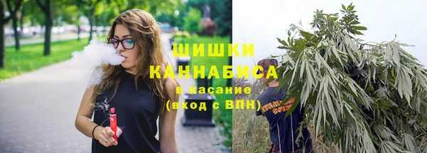 сатива Вязьма